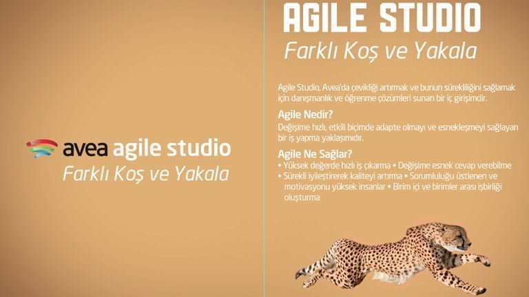 Avea’dan uluslararası başarı