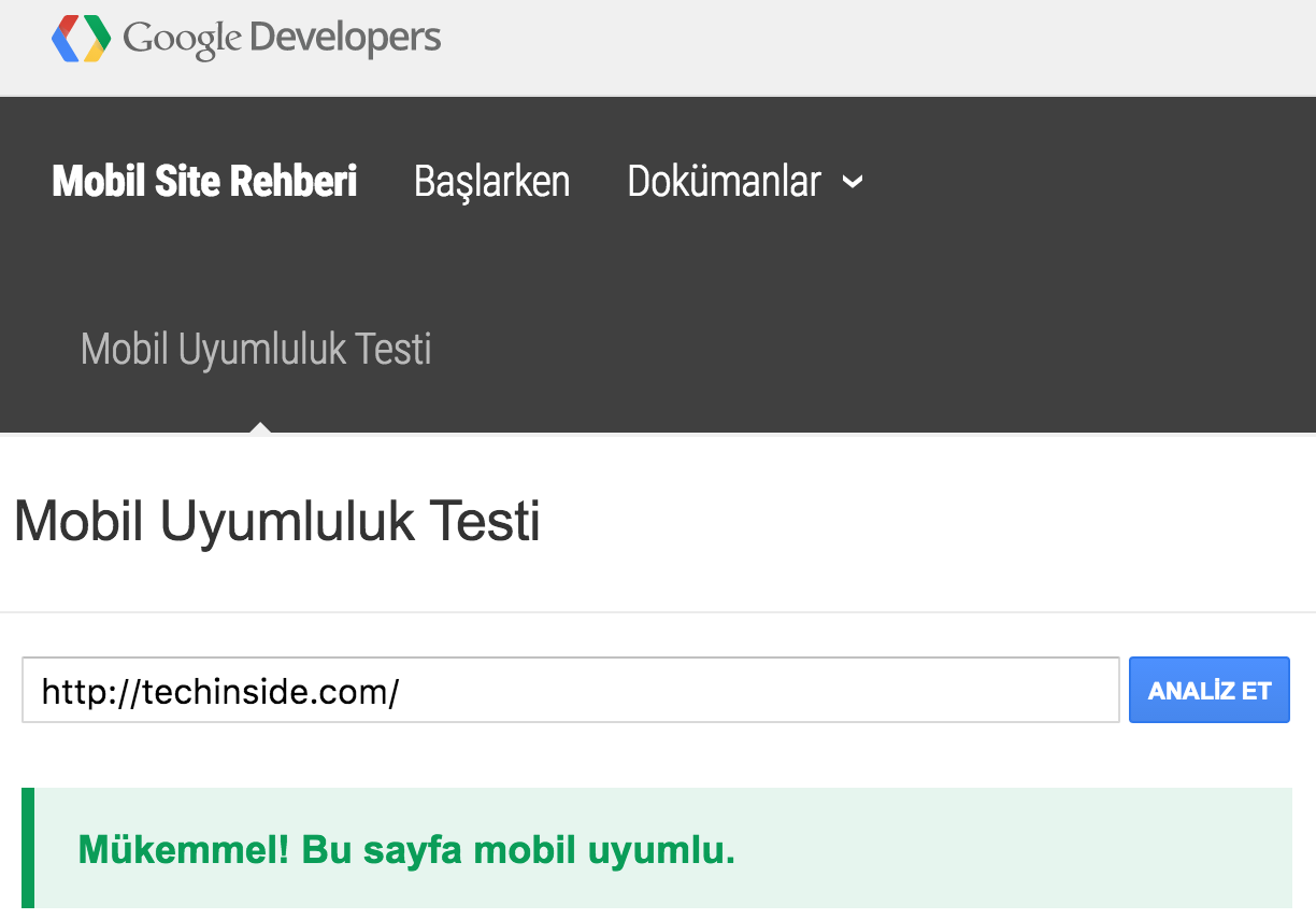 google mobil uyumluluk testi sonuc