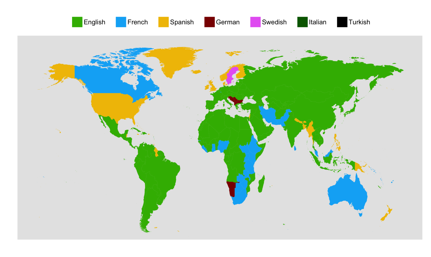 duolingo istatistik