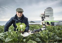Robotlar tarım