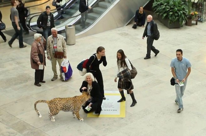 National Geographic sanal gerçeklik