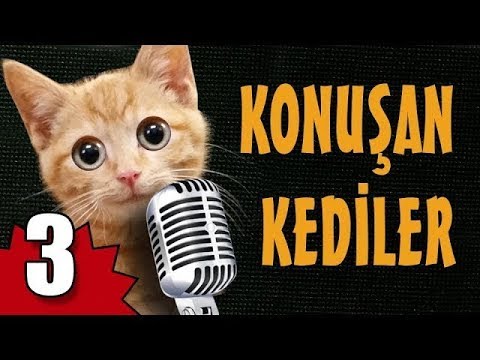 YouTube’da 2019’da neleri seyrettik?