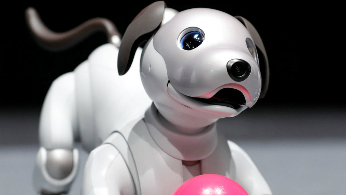 Sony robot köpek Aibo’yu geliştiriyor