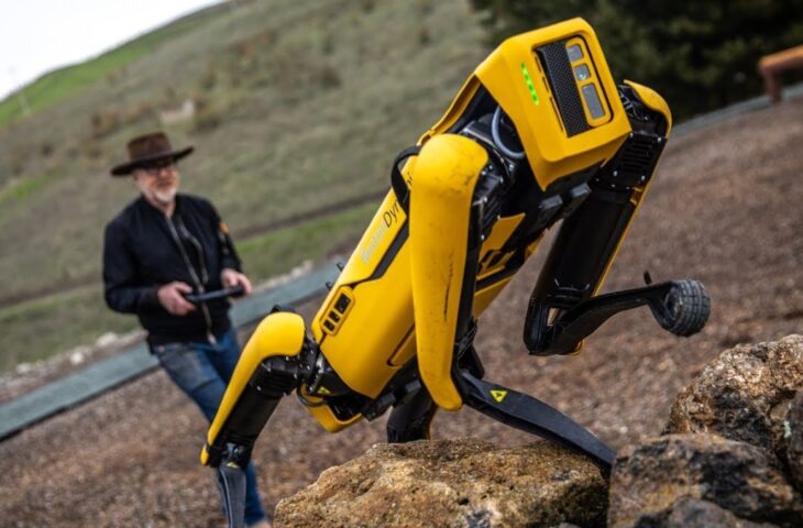 robot köpek Spot