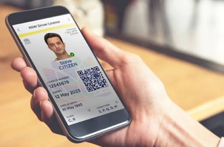 Fiziksel pasaportlar