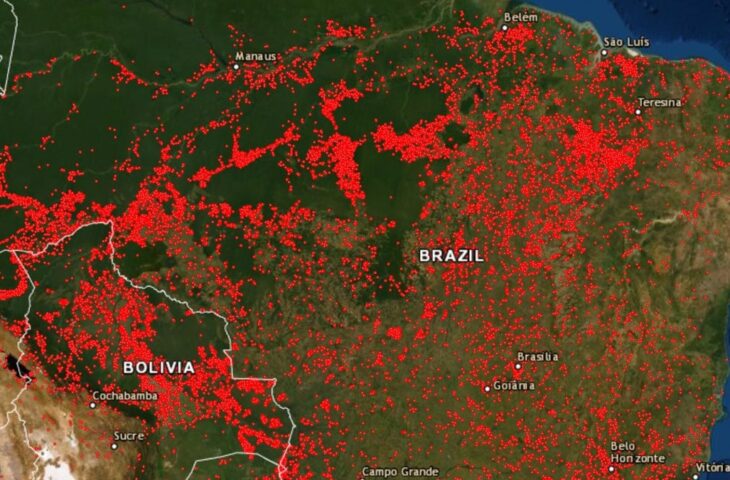 Google Haritalar orman yangınları