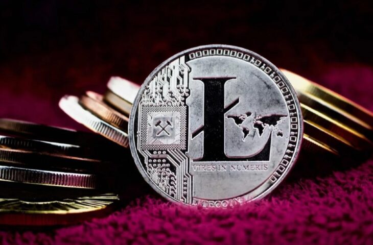 Litecoin banka kartı