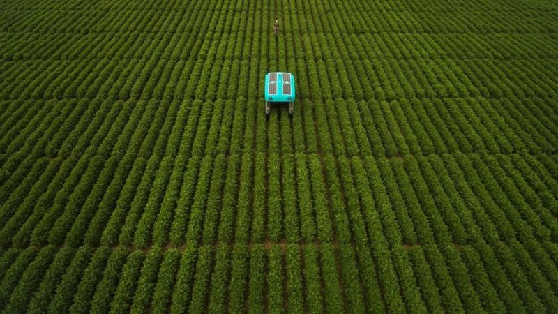 Google robot çiftçi geliştirdi