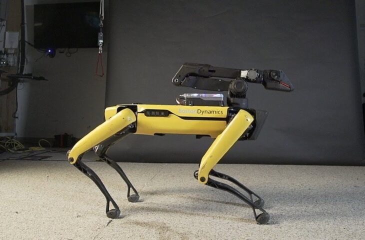 Robot köpek Spot