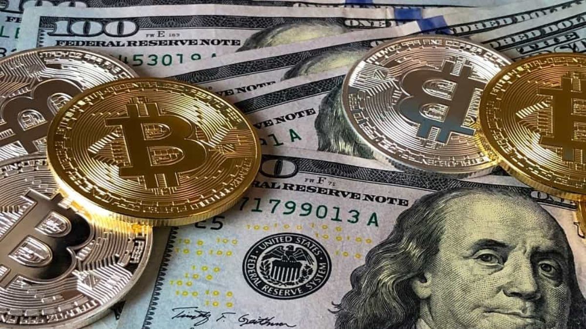 2024’te kaç kişi Bitcoin sahibi olacak?