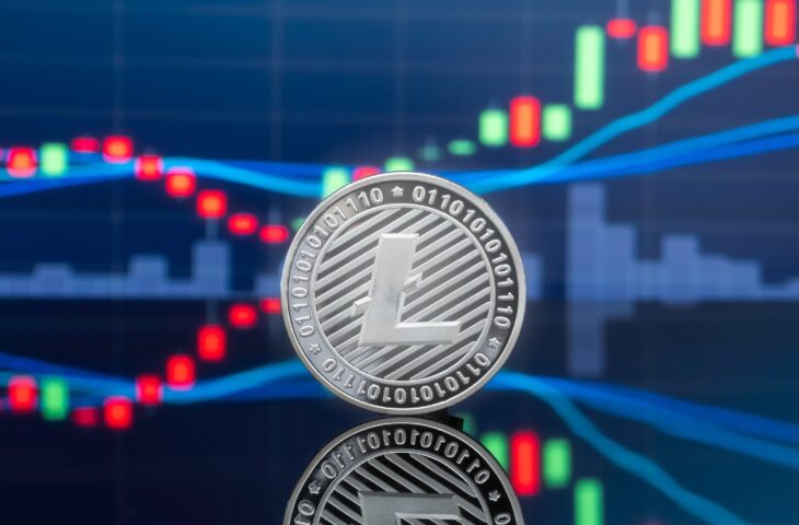 Litecoin değeri