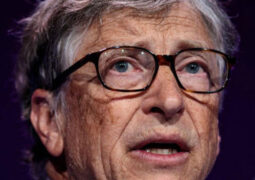 Bill Gates sentetik et