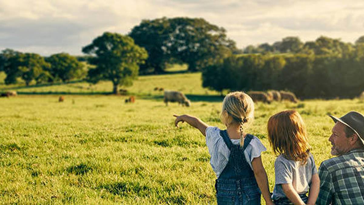 Çiftçilerin sosyal ağı Wefarm