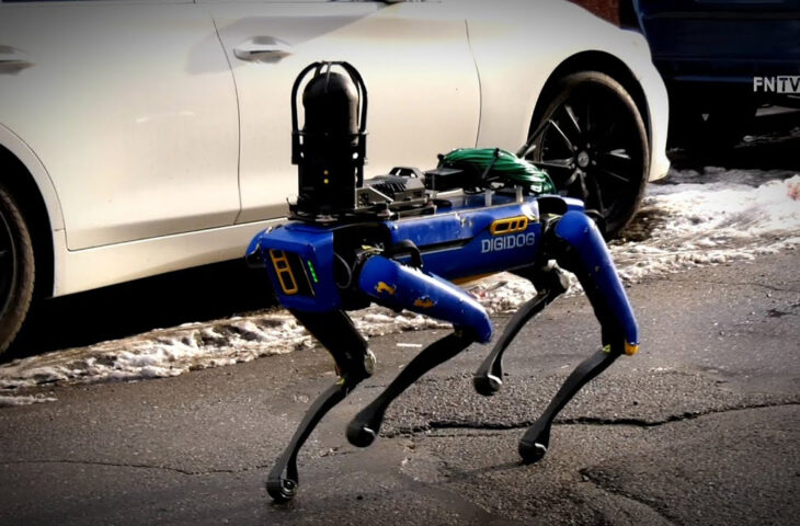 Robot köpek Spot