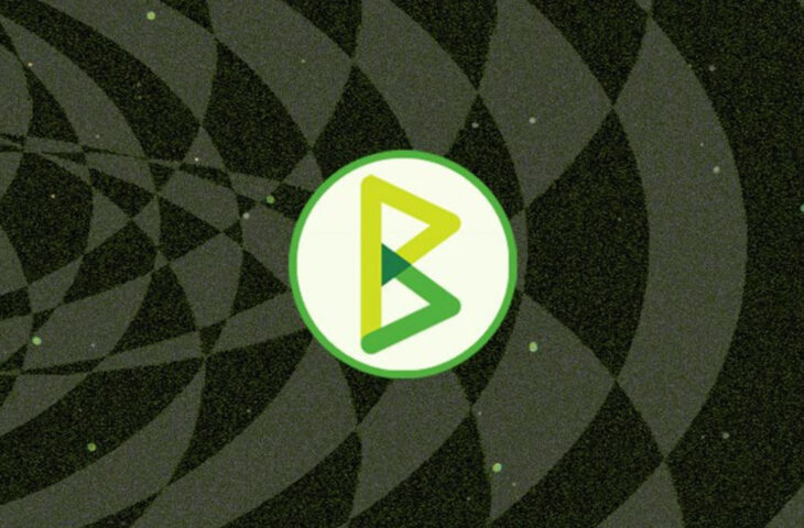 Tesla BTCPay