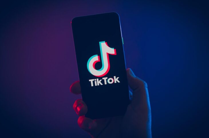 TikTok politika ihlalleri