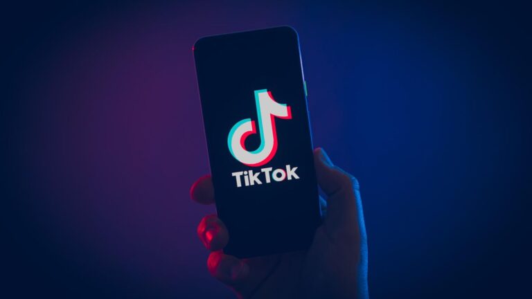 TikTok politika ihlalleri