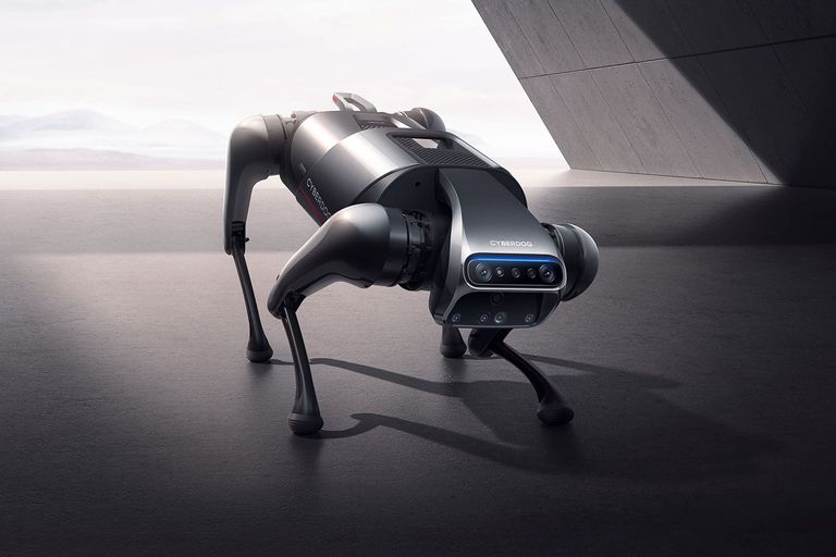 Xiaomi robot köpek geliştirdi