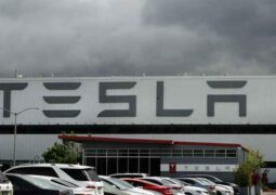Musk teslimatlar