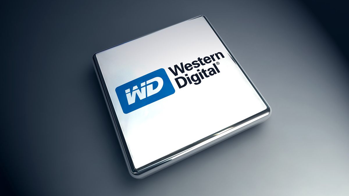 Western Digital çip üretimi