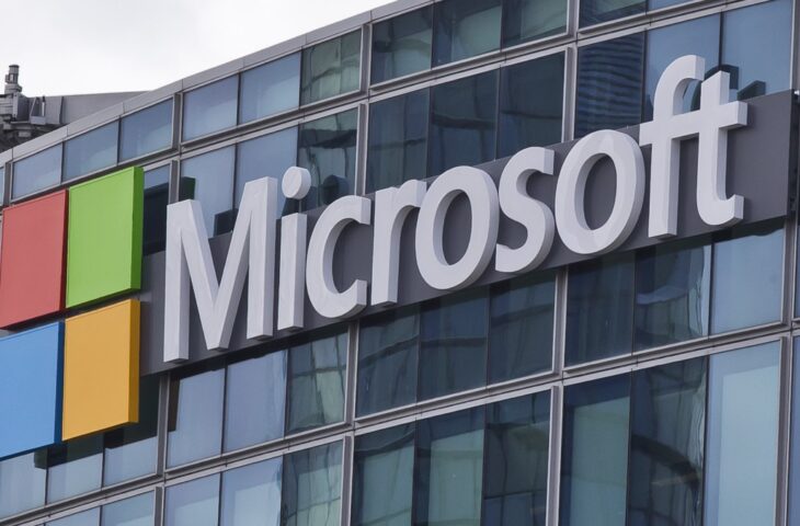 Microsoft yazılım denetimi