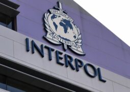 Interpol çevrimiçi dolandırıcılık