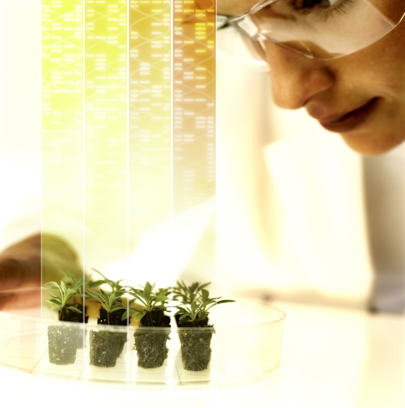 Bayer’den sürdürülebilir tarım için açık test platformu
