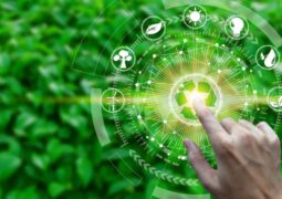 IoT sürdürülebilirlik