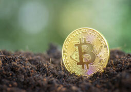 Kripto sektöründe enerji