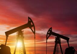 Petrol şirketleri iletişim ile yeşil imaja bürünüyor