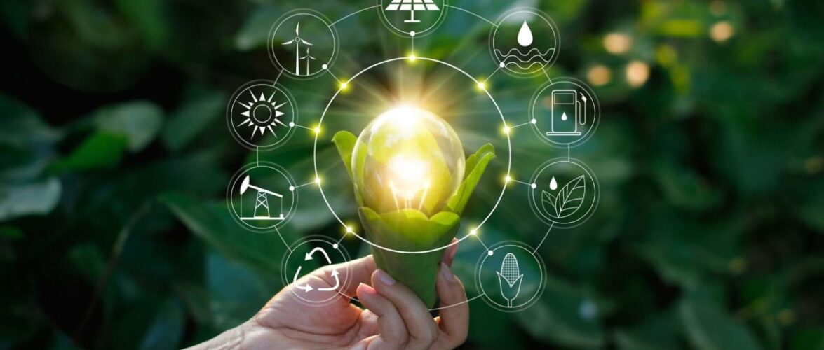 IoT odaklı enerji girişimleri