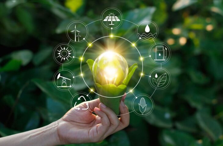 IoT odaklı enerji girişimleri