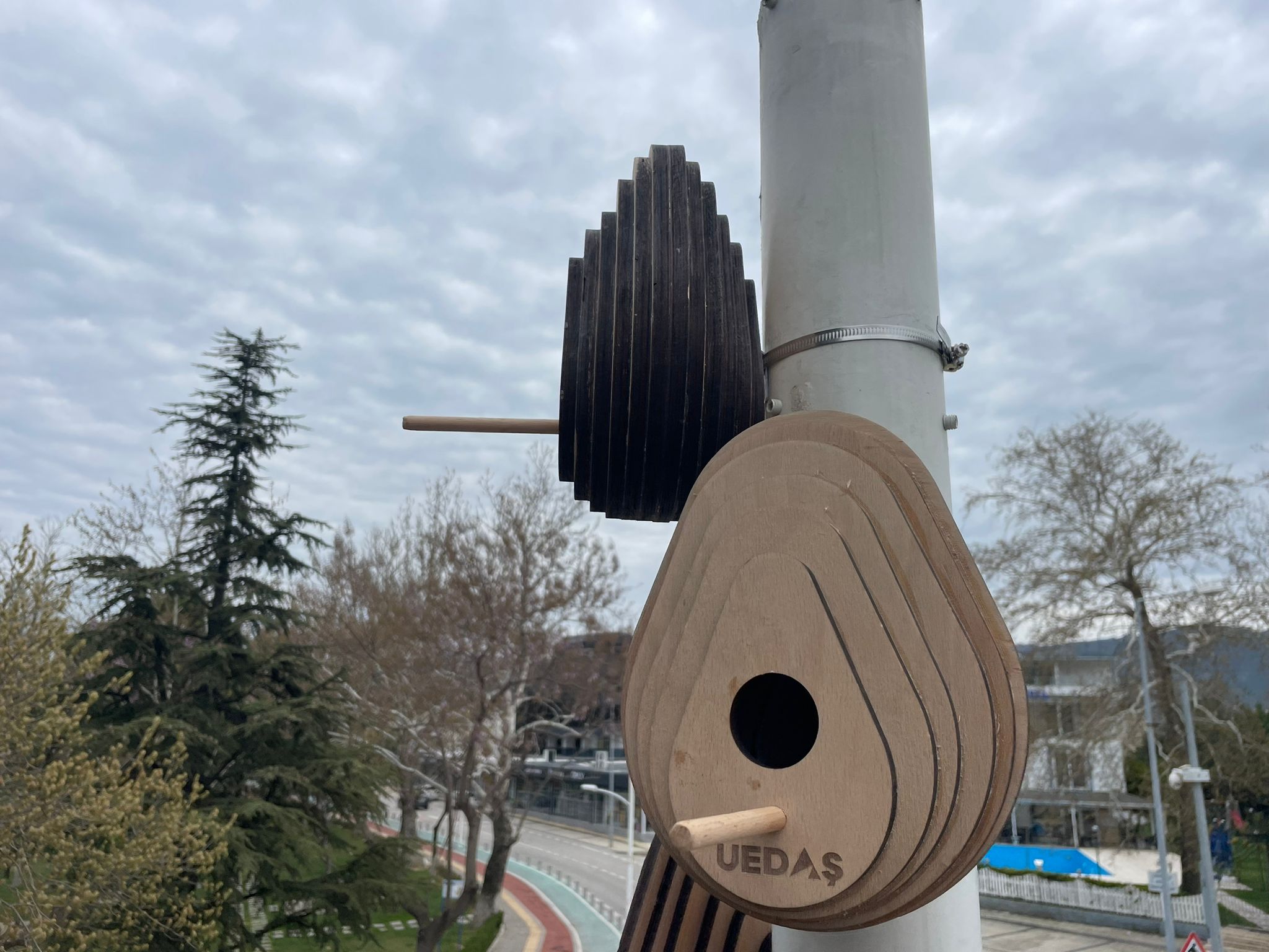Sokak lambaları kuşların yeni yuvası oldu!
