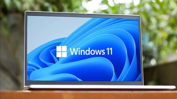 Windows 11 kullanımı