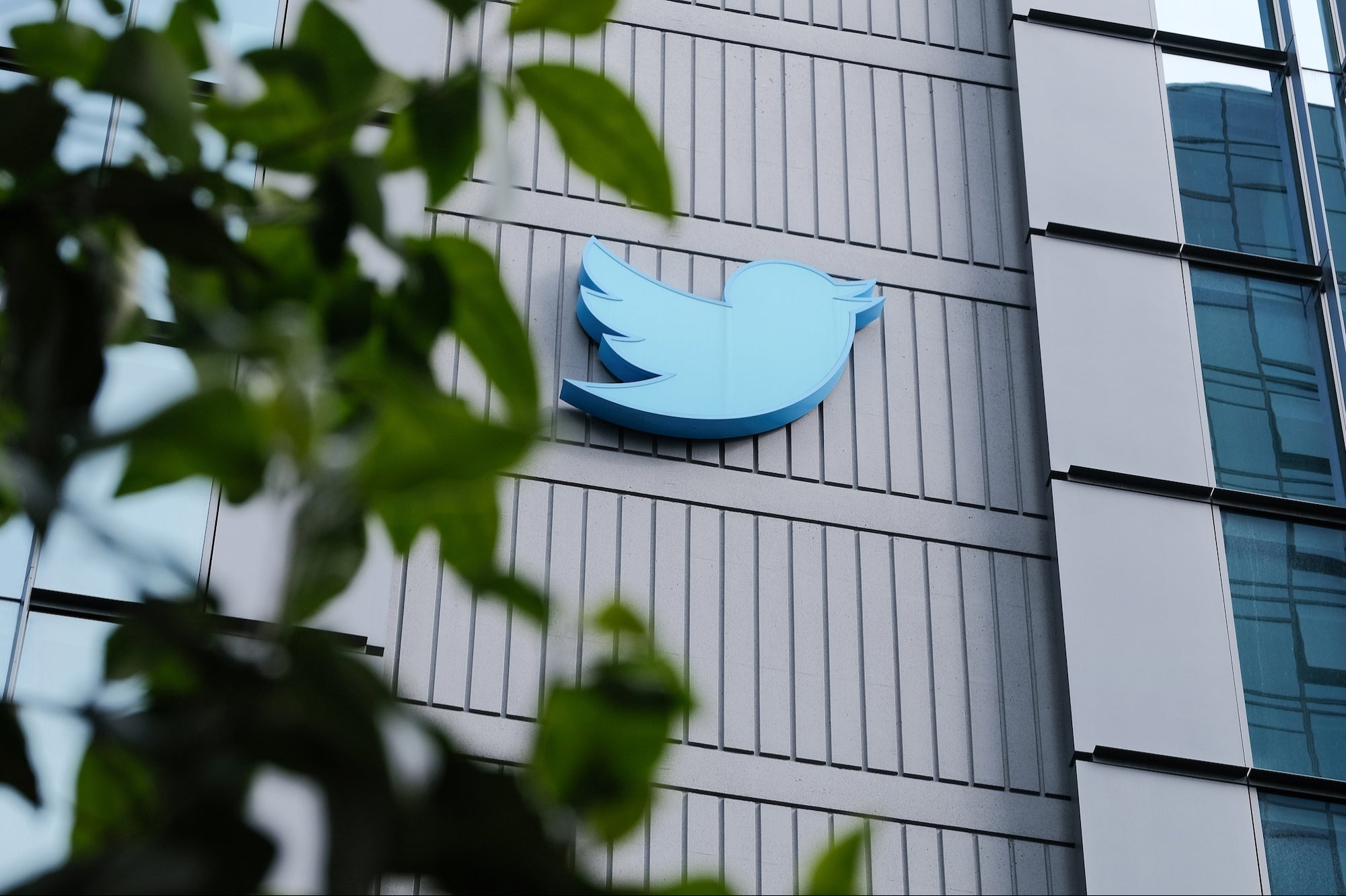 Twitter, 2022 FTC gizlilik anlaşmasının sonlandırılmasını istedi