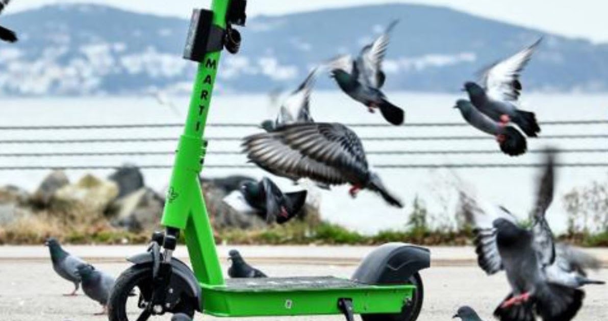 Martı New York Borsası’nda