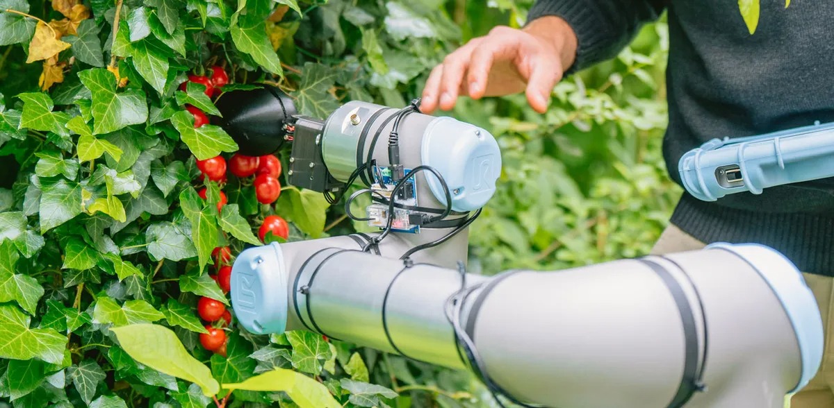 ChatGPT robot tasarlıyor