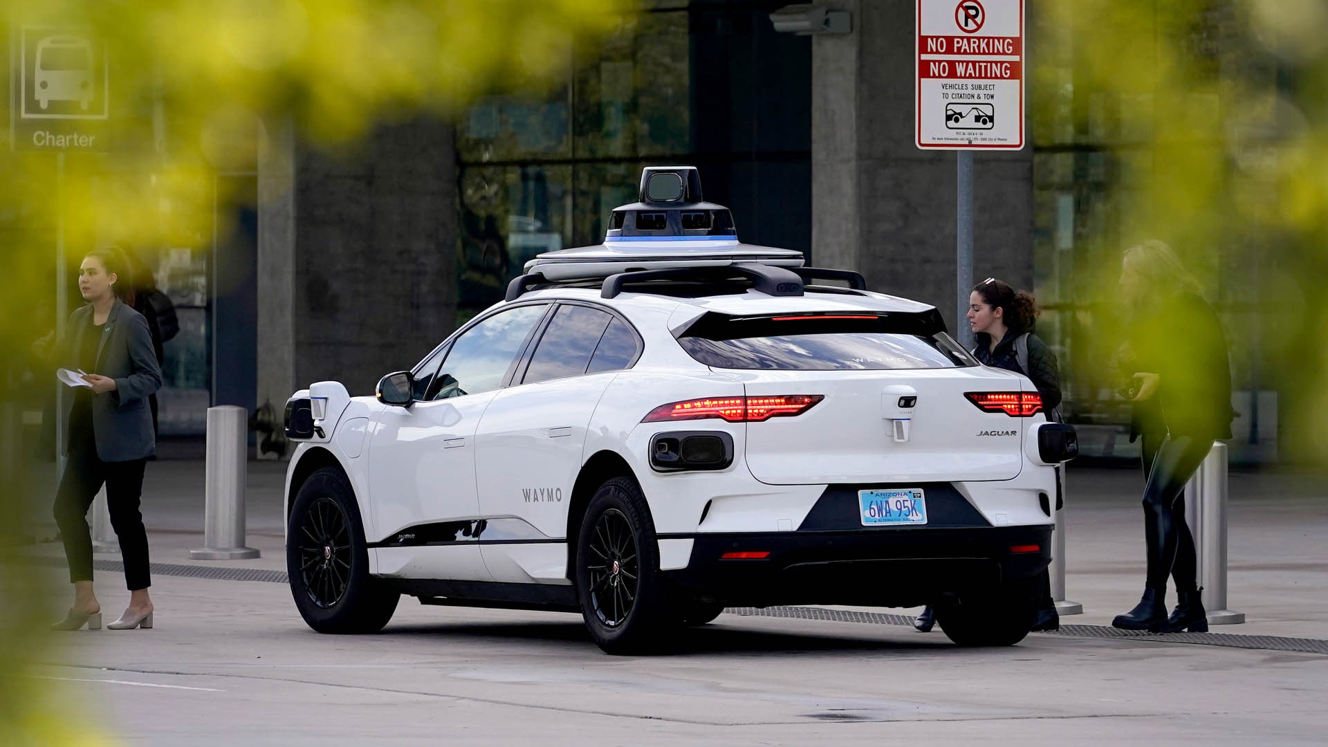 Otonom taksi köpek ölümüne neden oldu