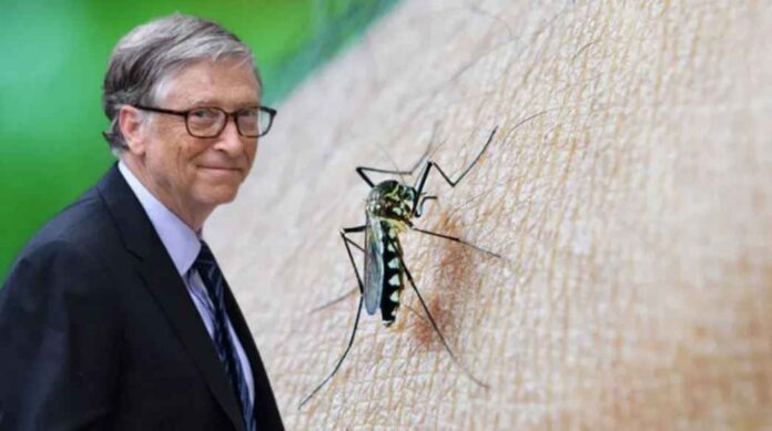 Bill Gates sivrisinek