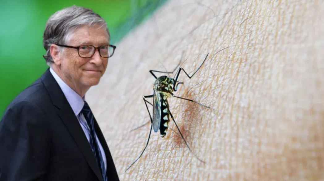 Bill Gates sivrisinek fabrikası kurdu! İnsanlığa virüs mü yayıyor?