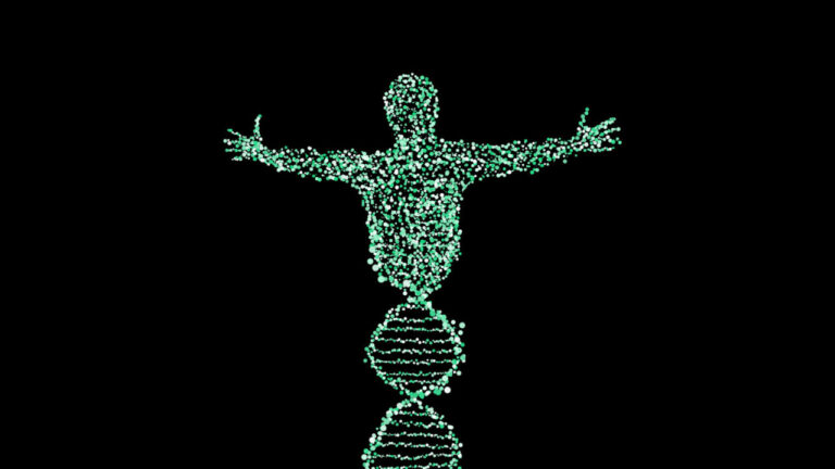 Y Kromozomunun genetik kodu ilk kez baştan Sona haritalandı