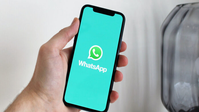 WhatsApp, aramalarda IP adresi gizliliği sunacak