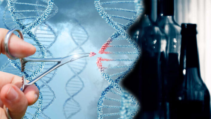 Yeni gen düzenleme yöntemiyle mutasyon riski yüzde 70 azaldı!