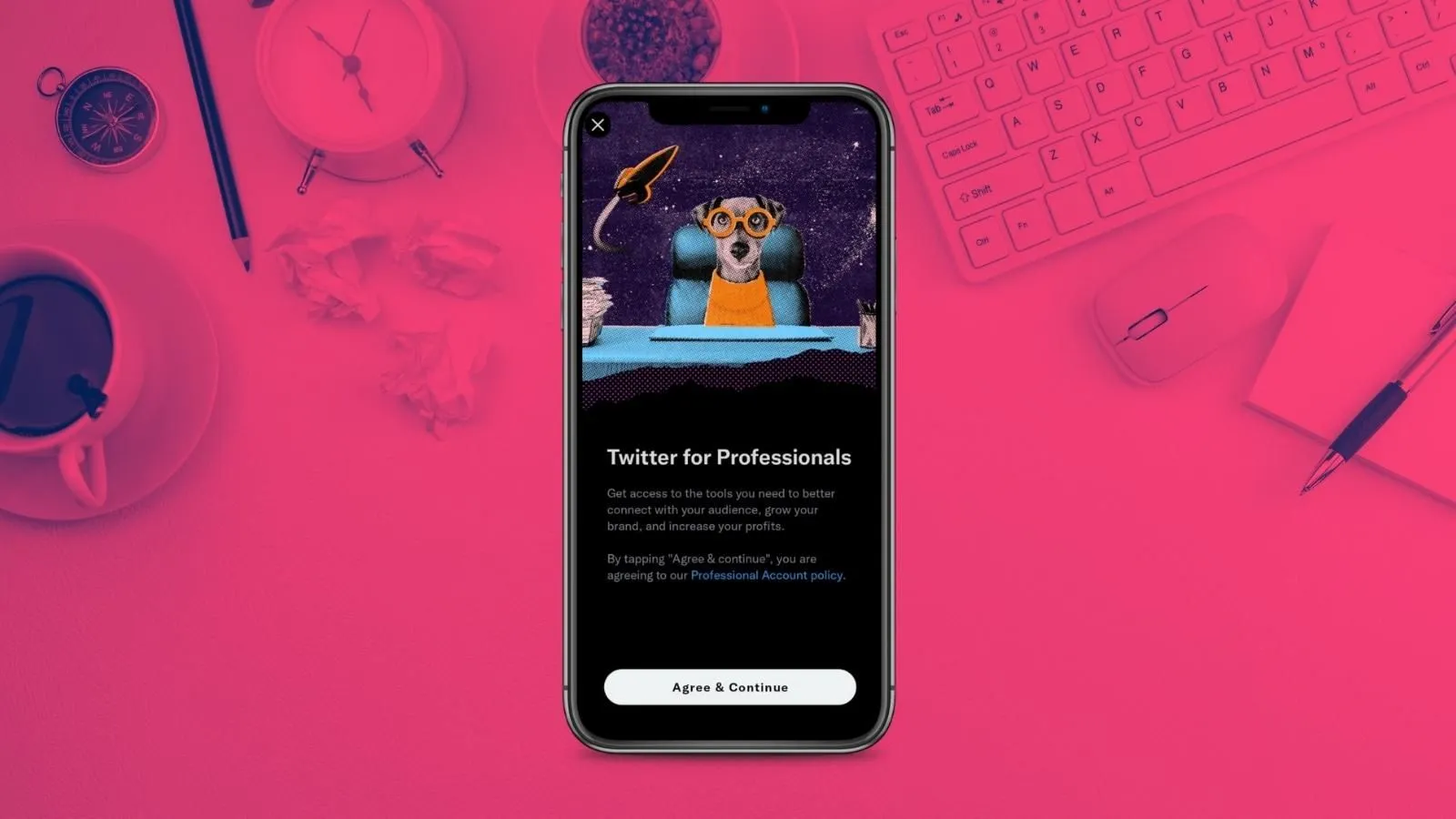 Twitter profesyonel hesap nedir?