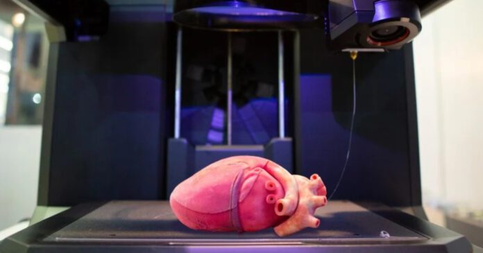 Vital3D Bioprint teknolojisiyle organ nakili sorunlarını çözüyor