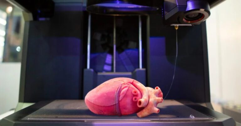 Vital3D Bioprint teknolojisiyle organ nakili sorunlarını çözüyor