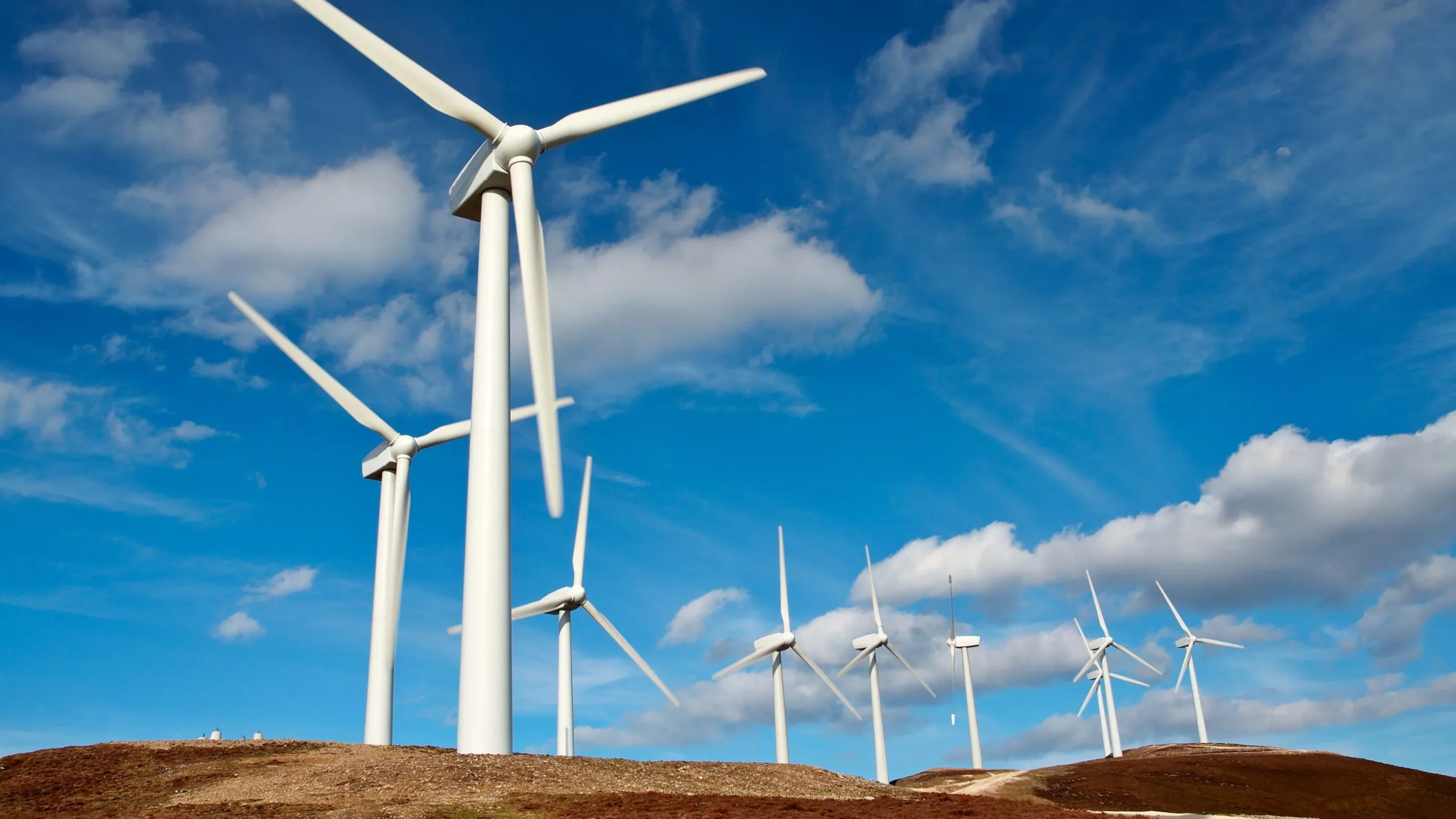 Schaeffler ve Zorlu Enerji’den rüzgâr enerjisinde stratejik ortaklık