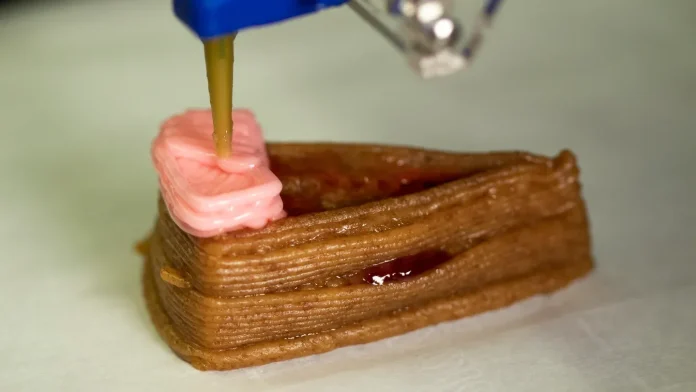 3D gıda baskısı