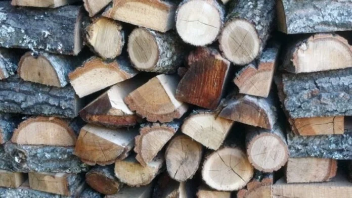 Bill Gates'in girişimi, havadaki karbonu temizlemek için eski odun kullanacak