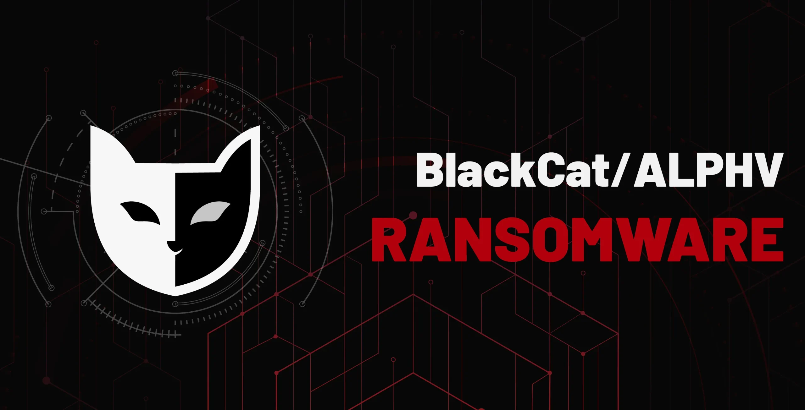 Ünlü sağlık grubu, BlackCat fidye yazılım çetesinin son kurbanı oldu!